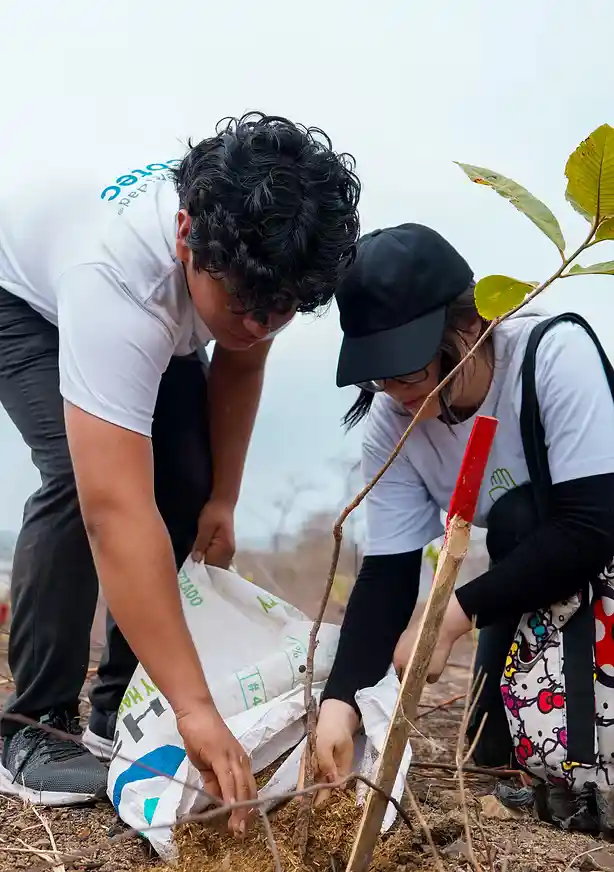 Voluntarios de ECOTEC sembrando árboles en una jornada comunitaria