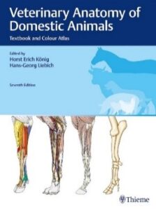 VETERINARY ANATOMY OF DOMESTIC ANIMALS