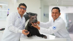 Estudiantes de Veterinaria ECOTEC atendiendo a paciente canino en clínica K9